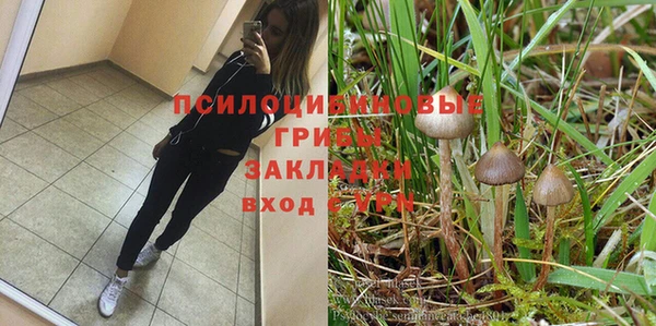 jwh Верея
