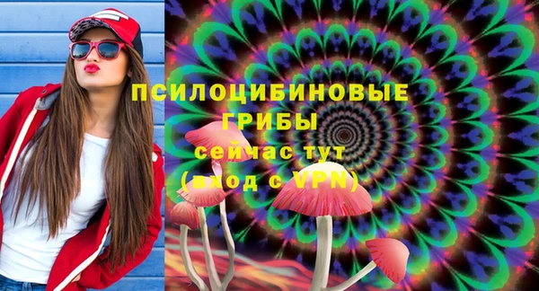 индика Верхнеуральск