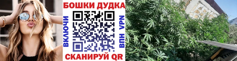 Марихуана гибрид  закладка  mega вход  Псков 